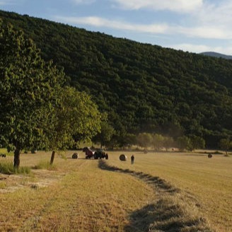 agricoltura