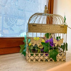 lacascinadellevioledinorcia