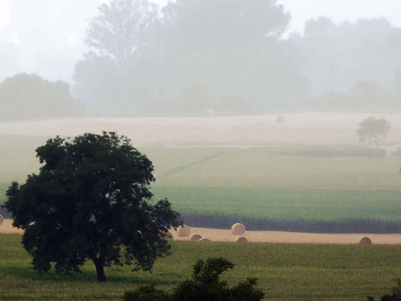estate nebbia mattutuna autunno parco nazionale monti sibillini pioggia