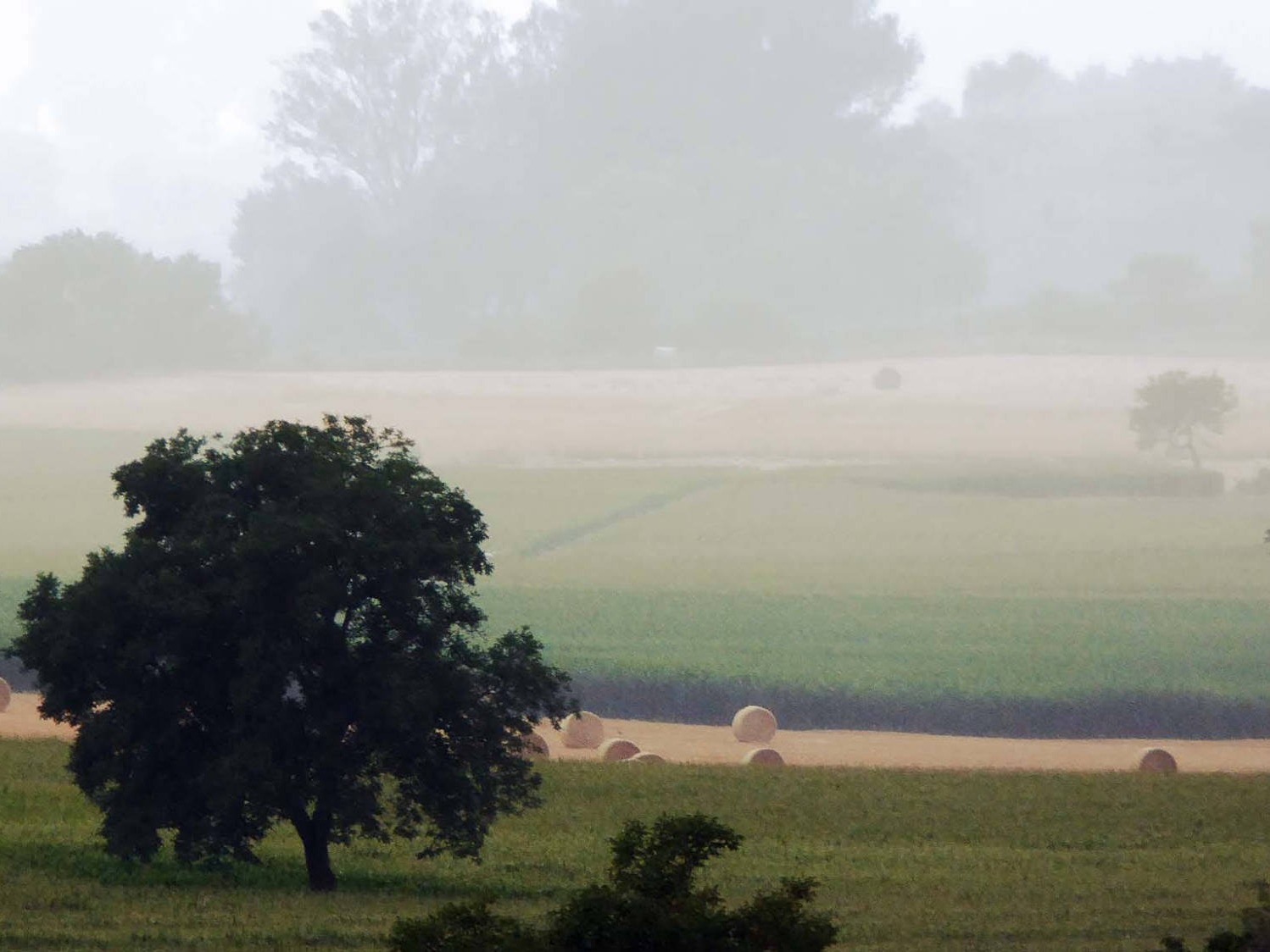 estate nebbia mattutuna autunno parco nazionale monti sibillini pioggia