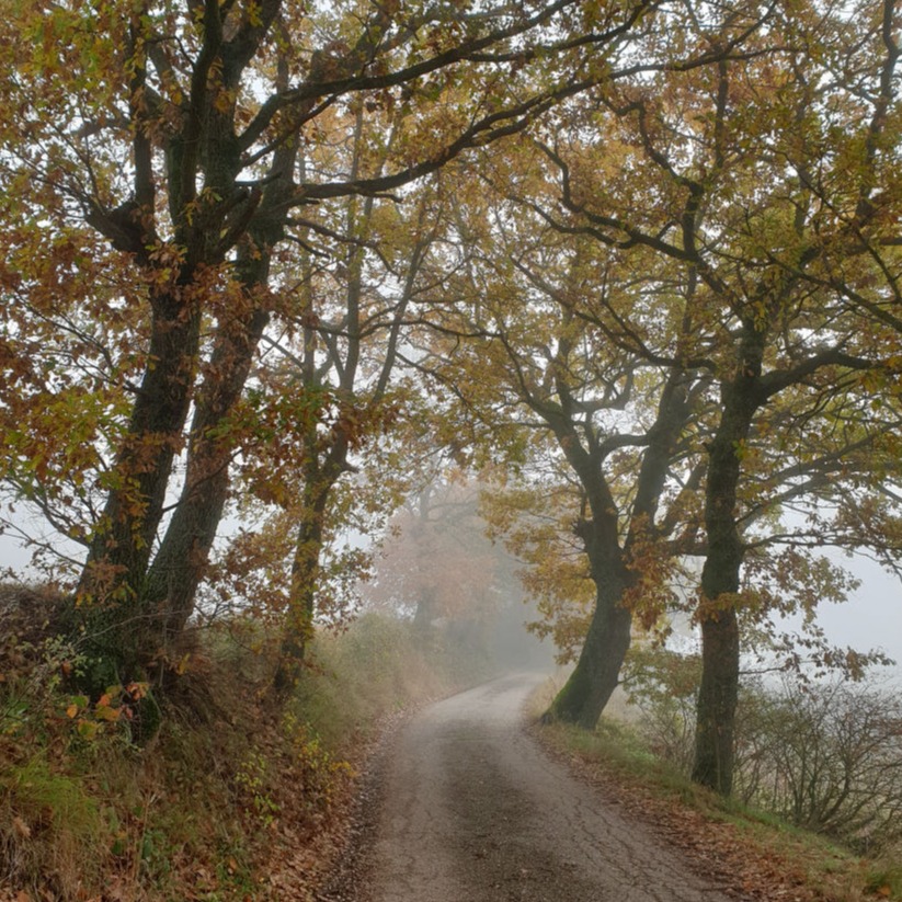 autunno a Norcia
