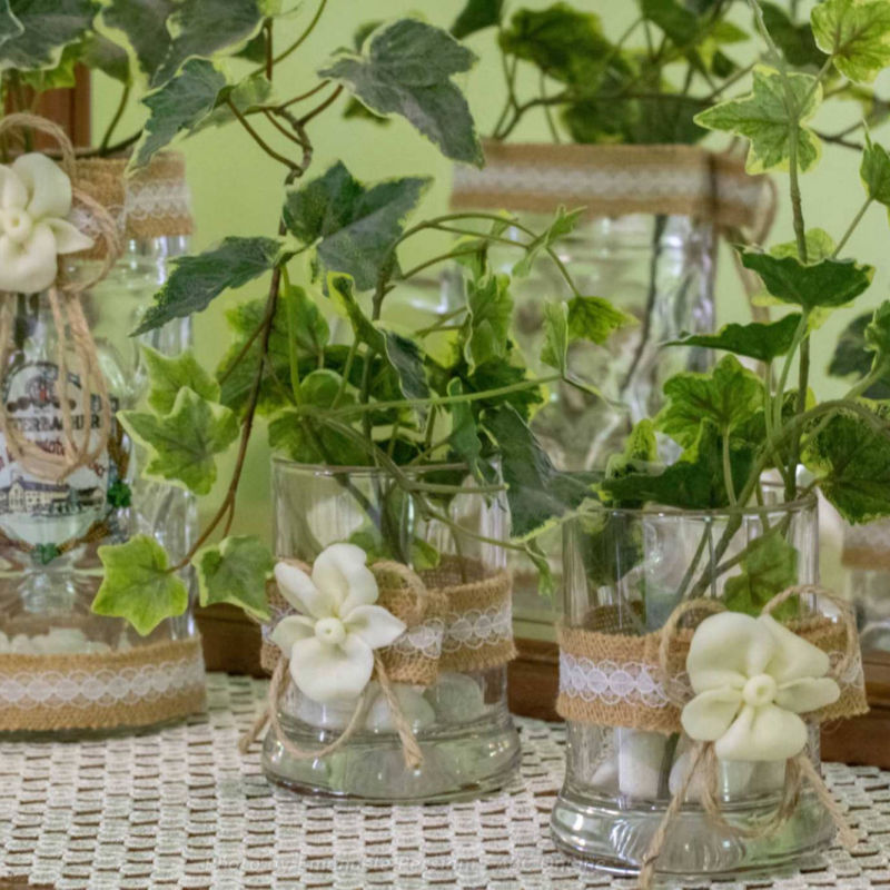 piante e decorazioni appartamento a norcia primo piano casa vacanze agriturismo