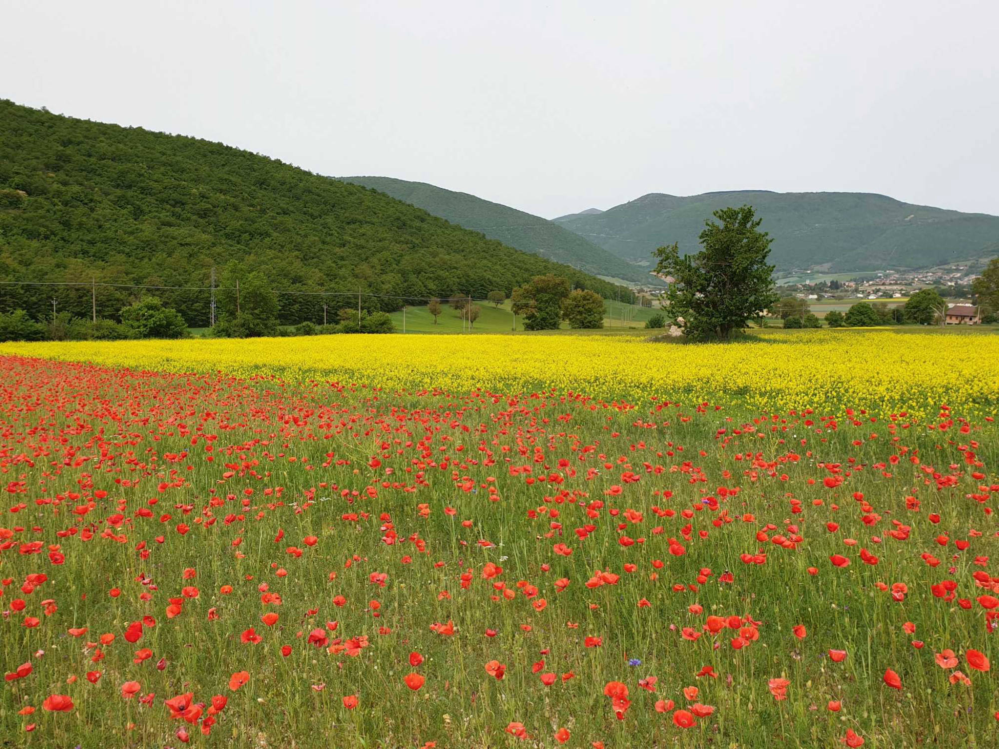 vista azienda agricola